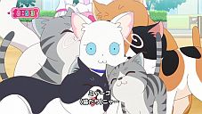 『わんだふるぷりきゅあ! 』第34話…猫集会初参加! ユキのやりたかったこと!