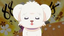 『わんだふるぷりきゅあ! 』第44話…今までありがとう! みんなで祝うフクちゃんの誕生日パーティー!
