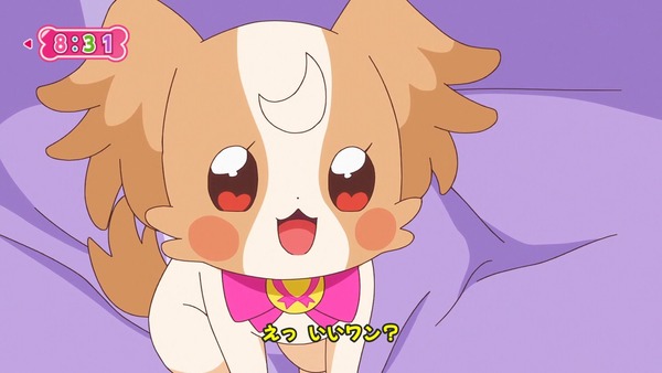 『わんだふるぷりきゅあ
! 』第9話…こむぎハチャメチャ学校初体験! いろはと悟はもう大変!