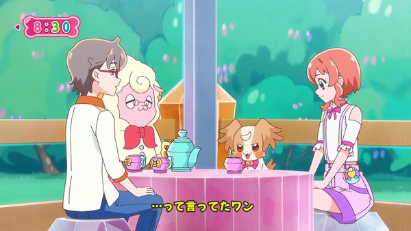 『わんだふるぷりきゅあ! 』第13話…犬組トリオがトロピカってる~!? ニャミーとまゆちゃんは急接近!