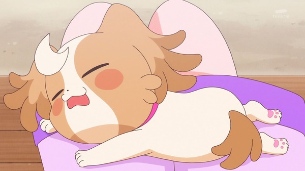 『わんだふるぷりきゅあ! 』第13話…犬組トリオがトロピカってる~!? ニャミーとまゆちゃんは急接近!