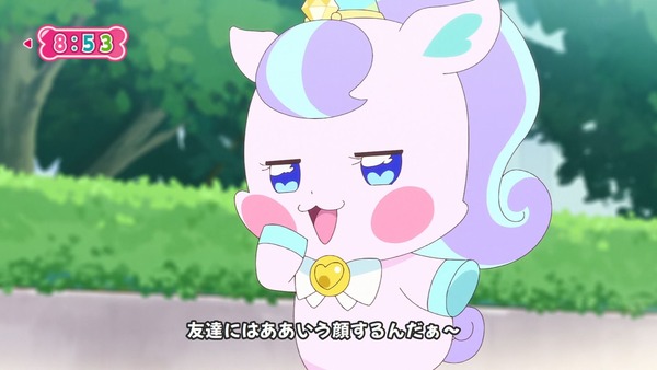 『わんだふるぷりきゅあ! 』第34話…猫集会初参加! ユキのやりたかったこと!