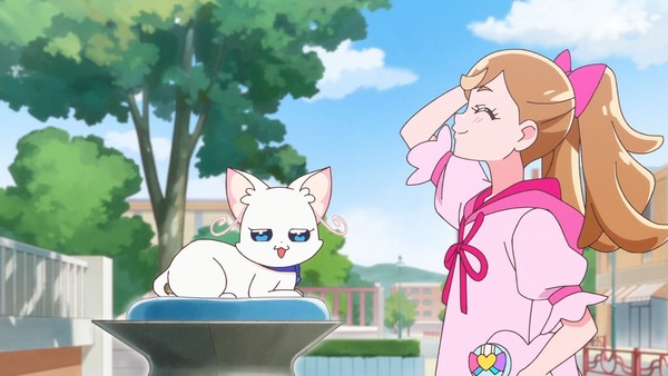 『わんだふるぷりきゅあ! 』第13話…犬組トリオがトロピカってる~!? ニャミーとまゆちゃんは急接近!