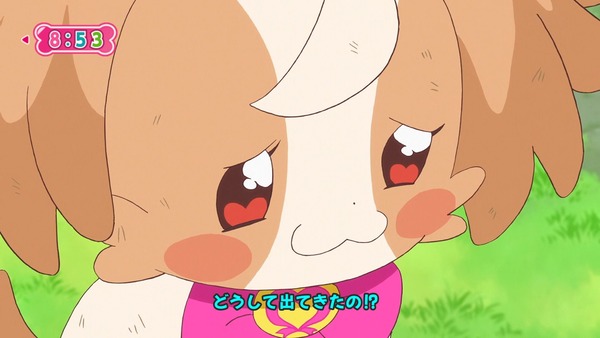 『わんだふるぷりきゅあ！ 』第6話…ケンカした二人！ 強敵ライオンのガルガル登場！