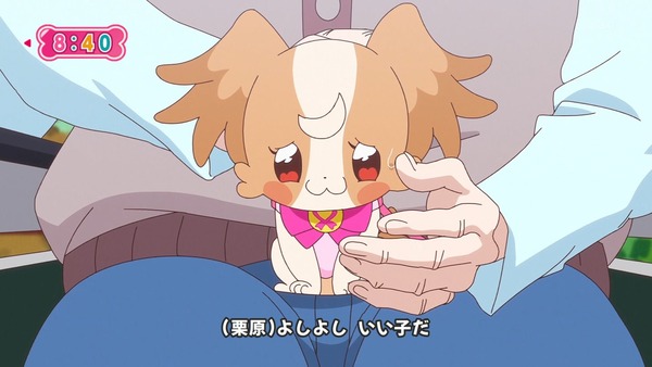 『わんだふるぷりきゅあ! 』第38話…ずっと一緒にいたい! こむぎといろはの強い絆!