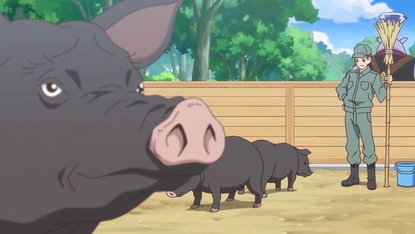 『わんだふるぷりきゅあ！ 』第32話…みんなを誘って動物園！ いろはとさくらの絆！