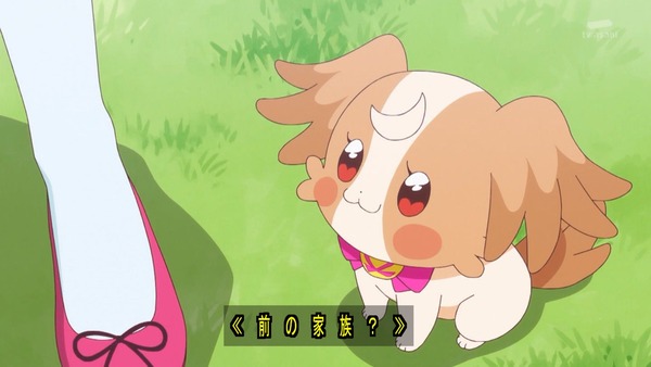 『わんだふるぷりきゅあ! 』第38話…ずっと一緒にいたい! こむぎといろはの強い絆!