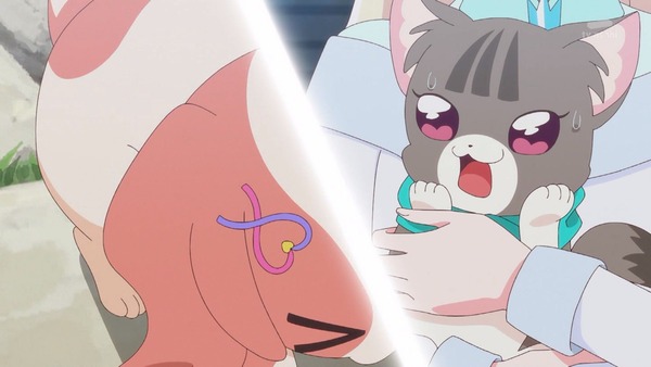 『わんだふるぷりきゅあ！ 』第40話…大事件！？ いろはとまゆがワンニャンに！