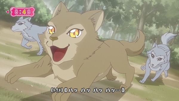 『わんだふるぷりきゅあ! 』第45話…世界中の動物と友達に! トラメとの約束