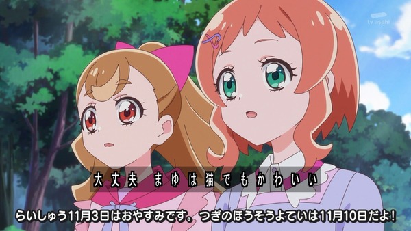 『わんだふるぷりきゅあ! 』第39話…アニマルタウンは楽しいハロウィン! こむぎとガオウのであい!