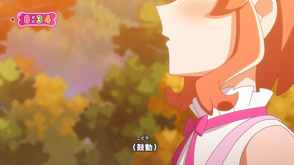 『わんだふるぷりきゅあ! 』第36話…特別なワンダフル! 悟の告白の行方は!?