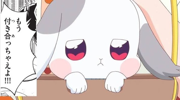 『わんだふるぷりきゅあ! 』第34話…猫集会初参加! ユキのやりたかったこと!