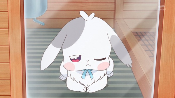 『わんだふるぷりきゅあ! 』第26話…暑すぎてヤバい! 熱中症注意喚起のギャグ回だけと真面目回!