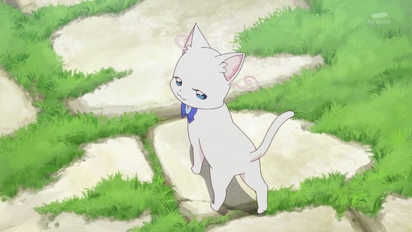 『わんだふるぷりきゅあ! 』第40話…大事件!? いろはとまゆがワンニャンに!