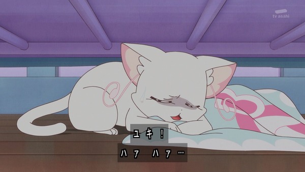 『わんだふるぷりきゅあ！ 』第14話…ユキの病気とまゆのはじめてのお泊り