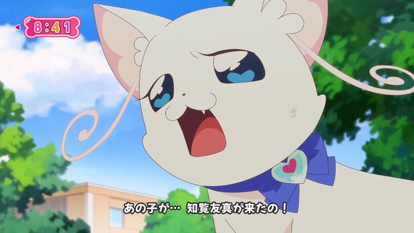 『わんだふるぷりきゅあ! 』第31話…まゆがキュアスタに挑戦! 友真との再会でどうなる?