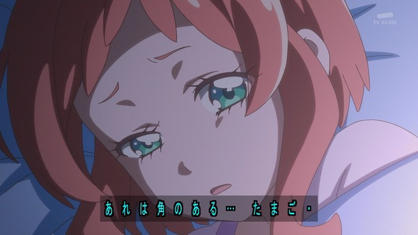 『わんだふるぷりきゅあ！ 』第23話…七夕のお祭り回は濃厚な悟いろに気ぶりまゆに見所いっぱい！