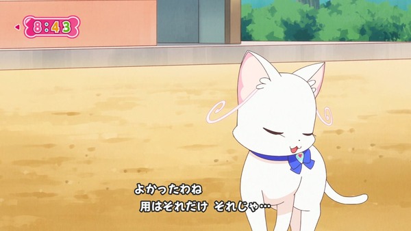 『わんだふるぷりきゅあ! 』第34話…猫集会初参加! ユキのやりたかったこと!