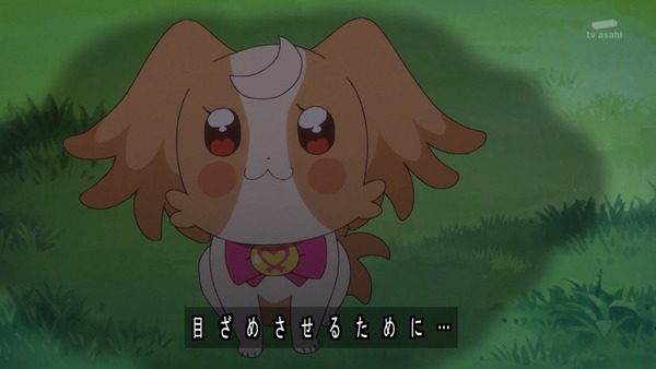 『わんだふるぷりきゅあ! 』第39話…アニマルタウンは楽しいハロウィン! こむぎとガオウのであい!