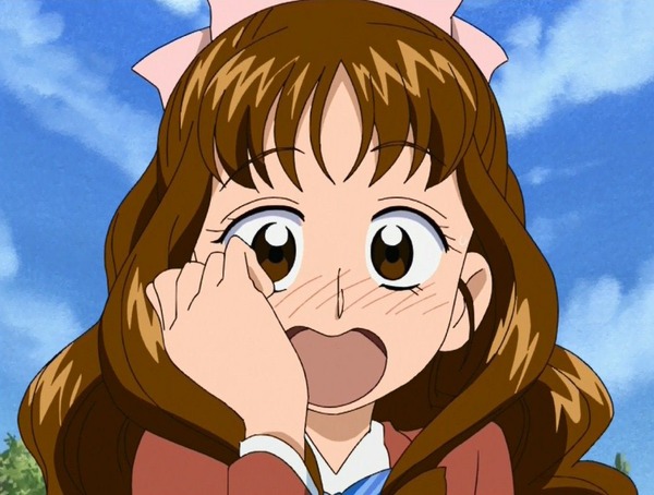『プリキュアシリーズ』のプリキュア以外の女性キャラ