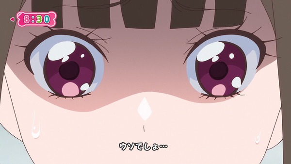 『わんだふるぷりきゅあ！ 』第14話…ユキの病気とまゆのはじめてのお泊り