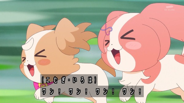 『わんだふるぷりきゅあ! 』第40話…大事件!? いろはとまゆがワンニャンに!