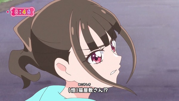 『わんだふるぷりきゅあ! 』第17話…私があなたを守る! キュアニュミー初変身披露回!