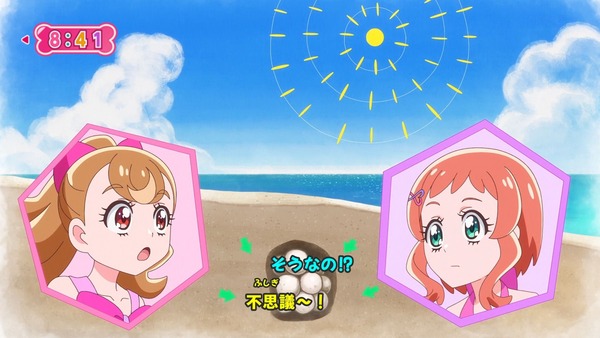 『わんだふるぷりきゅあ！ 』第25話…待ちに待った水着回！ 今週も気ぶりまゆちゃん大活躍！