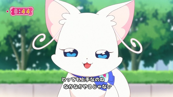 『わんだふるぷりきゅあ! 』第34話…猫集会初参加! ユキのやりたかったこと!