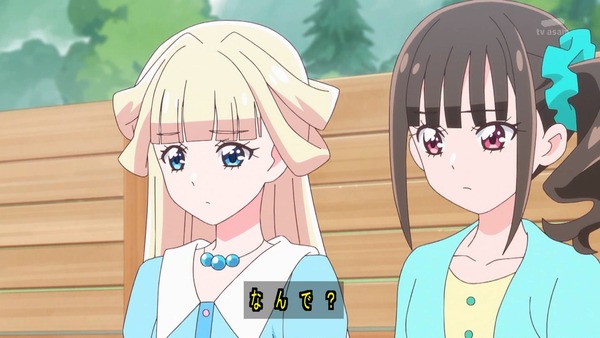 『わんだふるぷりきゅあ! 』第38話…ずっと一緒にいたい! こむぎといろはの強い絆!