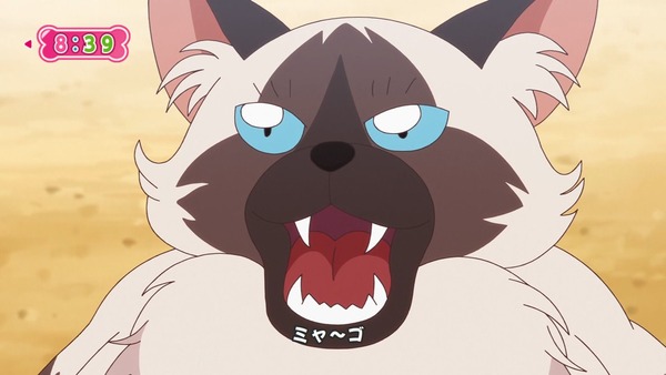 『わんだふるぷりきゅあ! 』第34話…猫集会初参加! ユキのやりたかったこと!