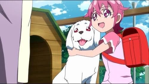 『わんだふるぷりきゅあ! 』第44話…今までありがとう! みんなで祝うフクちゃんの誕生日パーティー!