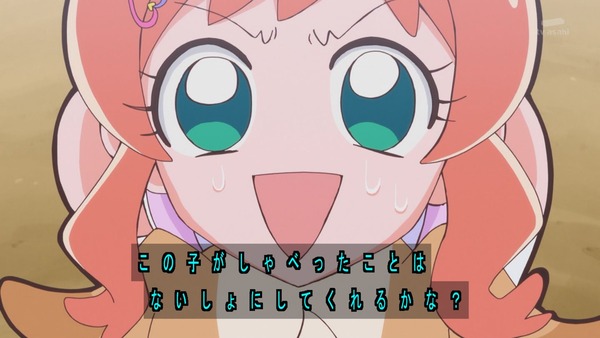 『わんだふるぷりきゅあ! 』第13話…犬組トリオがトロピカってる~!? ニャミーとまゆちゃんは急接近!