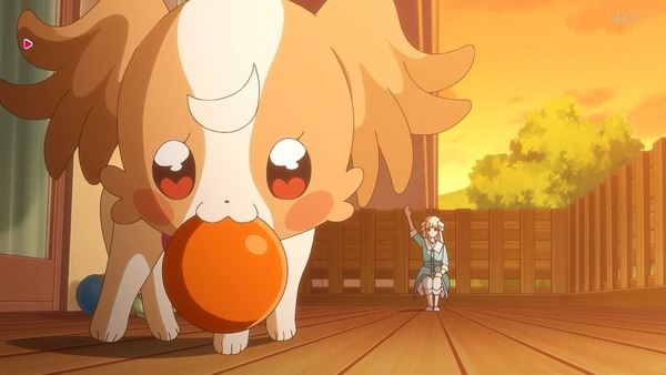 『わんだふるぷりきゅあ! 』第36話…特別なワンダフル! 悟の告白の行方は!?