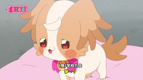 『わんだふるぷりきゅあ! 』第9話…こむぎハチャメチャ学校初体験! いろはと悟はもう大変!