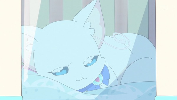 『わんだふるぷりきゅあ！ 』第14話…ユキの病気とまゆのはじめてのお泊り