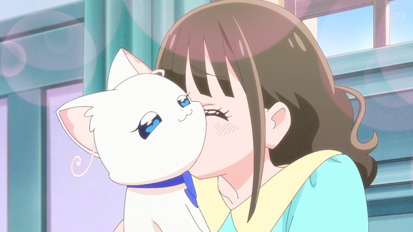 
『わんだふるぷりきゅあ！』前作：ヒーローガール　今作：ワンダーフール