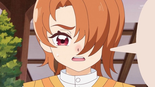 映画プリキュアオールスターズF