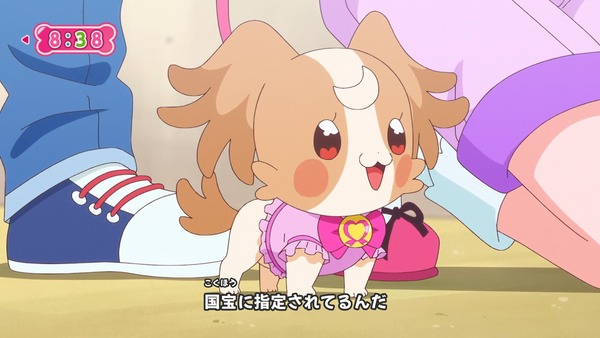 『わんだふるぷりきゅあ! 』第13話…犬組トリオがトロピカってる~!? ニャミーとまゆちゃんは急接近!