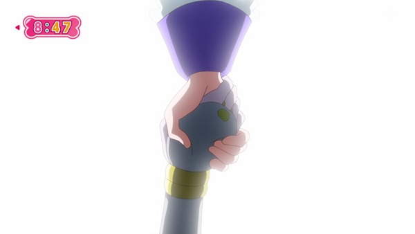 『わんだふるぷりきゅあ! 』第45話…世界中の動物と友達に! トラメとの約束