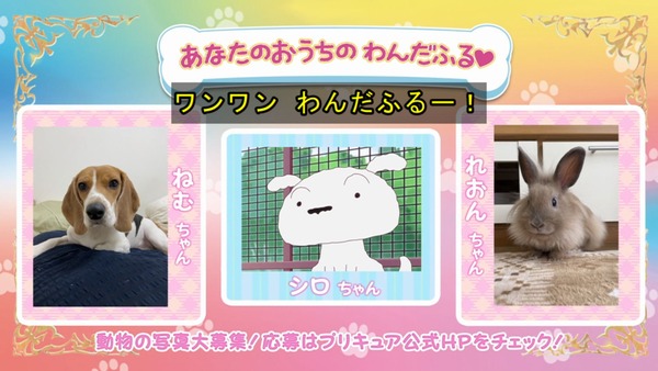 『わんだふるぷりきゅあ!』第16話…こむぎがしゃべれることがバレちゃった! しんちゃん登場のコラボ回!