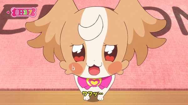 『わんだふるぷりきゅあ! 』第6話…ケンカした二人! 強敵ライオンのガルガル登場!