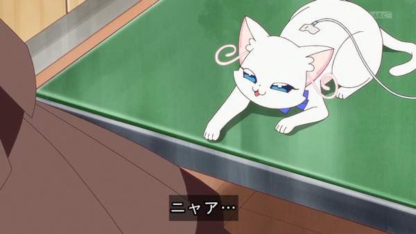 『わんだふるぷりきゅあ！ 』第14話…ユキの病気とまゆのはじめてのお泊り