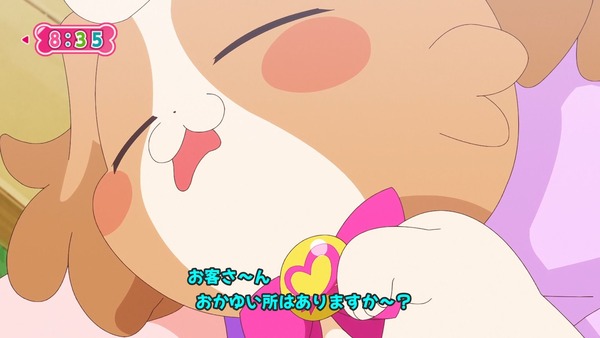 『わんだふるぷりきゅあ! 』第6話…ケンカした二人! 強敵ライオンのガルガル登場!