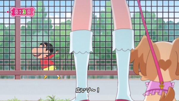『わんだふるぷりきゅあ!』第16話…こむぎがしゃべれることがバレちゃった! しんちゃん登場のコラボ回!