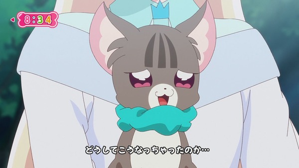 『わんだふるぷりきゅあ! 』第40話…大事件!? いろはとまゆがワンニャンに!