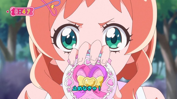 『わんだふるぷりきゅあ! 』第6話…ケンカした二人! 強敵ライオンのガルガル登場!