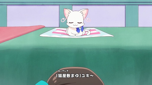 『わんだふるぷりきゅあ! 』第34話…猫集会初参加! ユキのやりたかったこと!