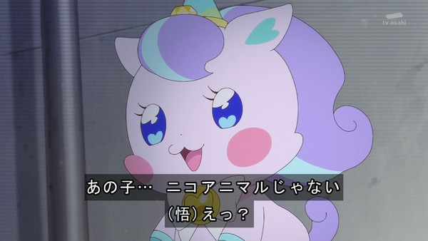 『わんだふるぷりきゅあ! 』第31話…まゆがキュアスタに挑戦! 友真との再会でどうなる?