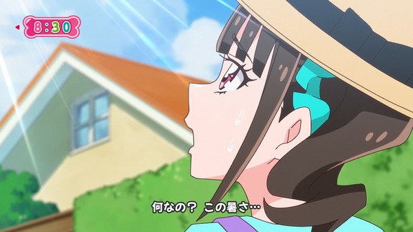 『わんだふるぷりきゅあ! 』第26話…暑すぎてヤバい! 熱中症注意喚起のギャグ回だけと真面目回!
